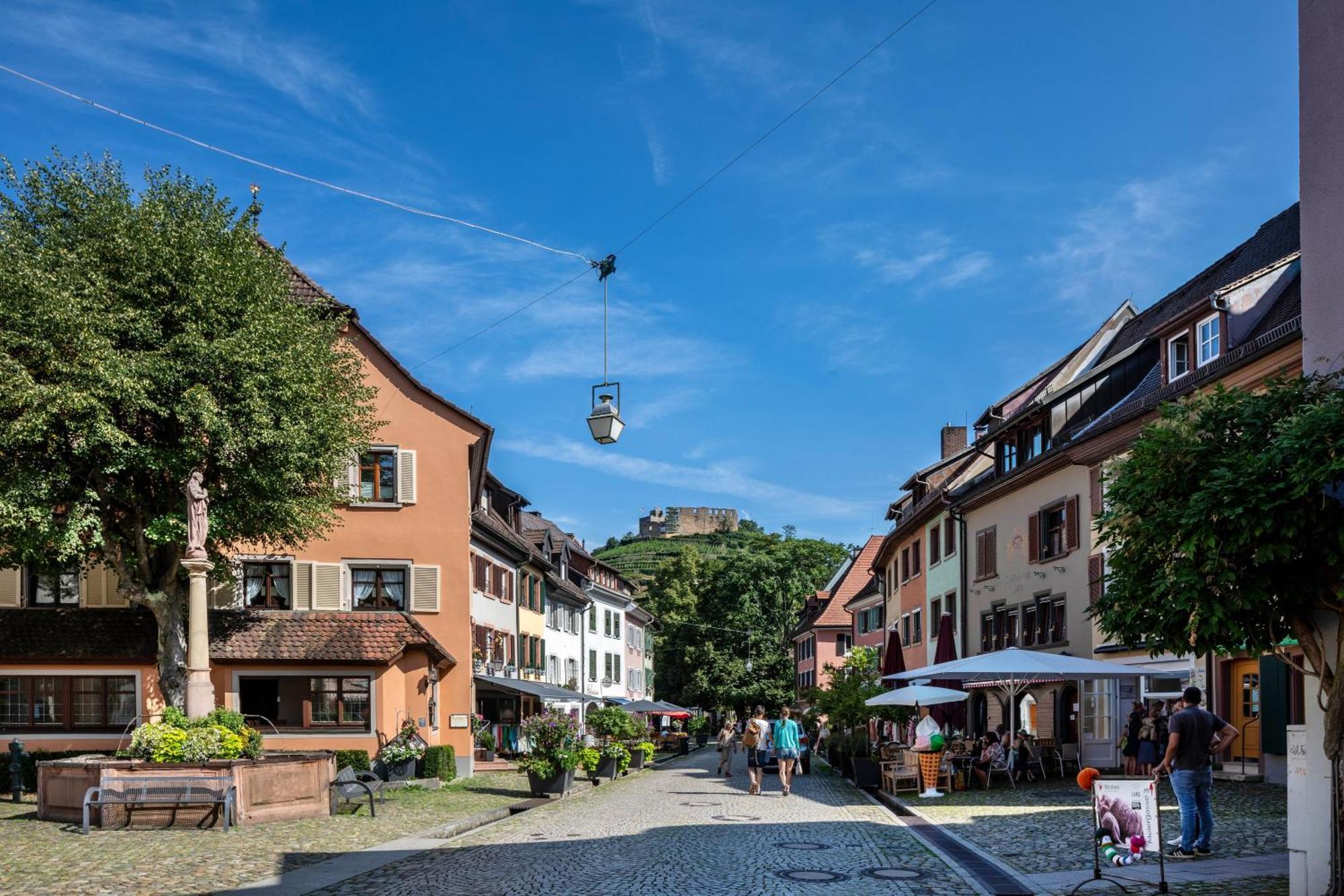 Ferienwohnung Am Neumagen Staufen im Breisgau Exterior photo
